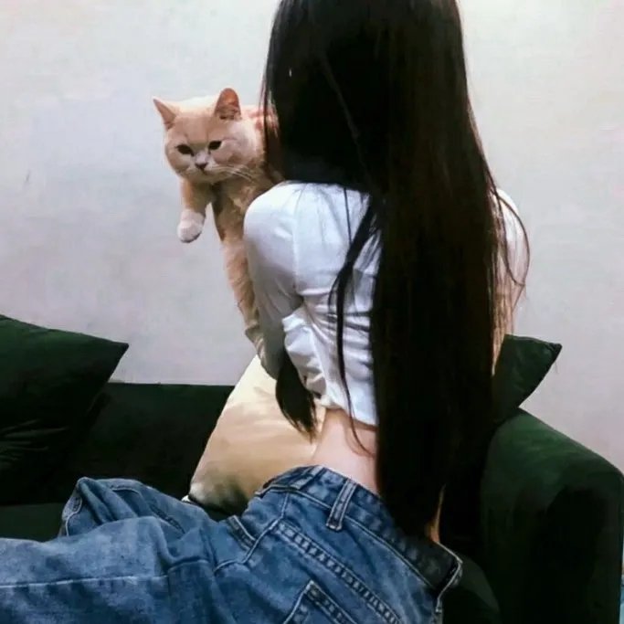 热带复眼